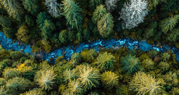 CTB, PAB climate benchmarks evolve with investment landscape