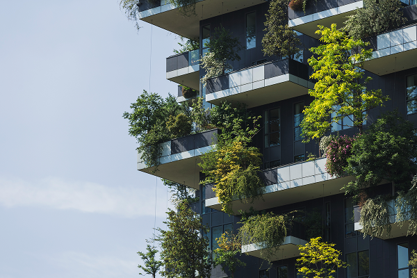 The Natural Capital Research Institute