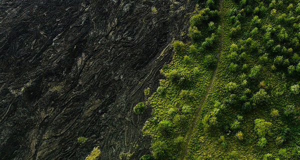 resilience-at-risk-understanding-climate-and-nature-risk-exposures-in-investment-portfolios